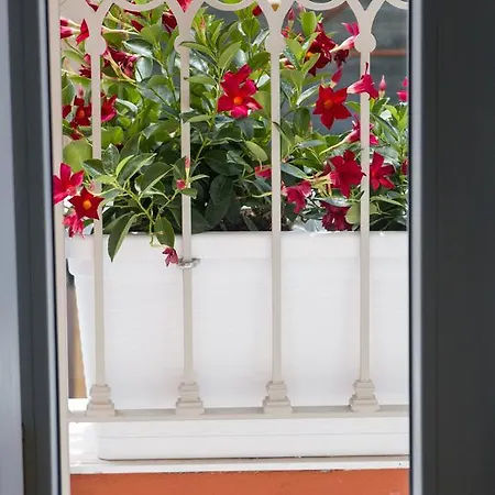 San Trifone Bed & Breakfast 4*