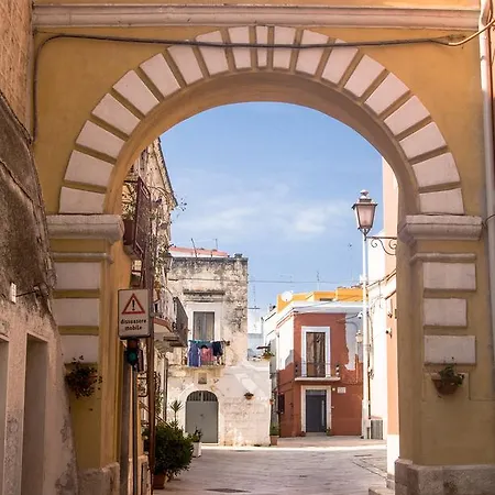 San Trifone