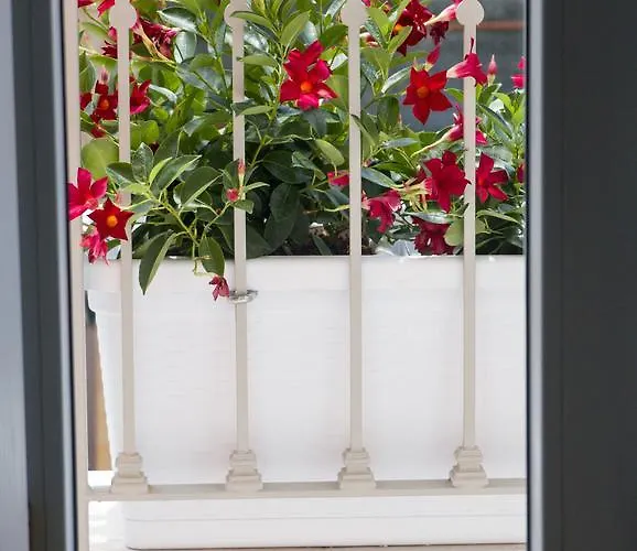 San Trifone Oda ve Kahvaltı 4*